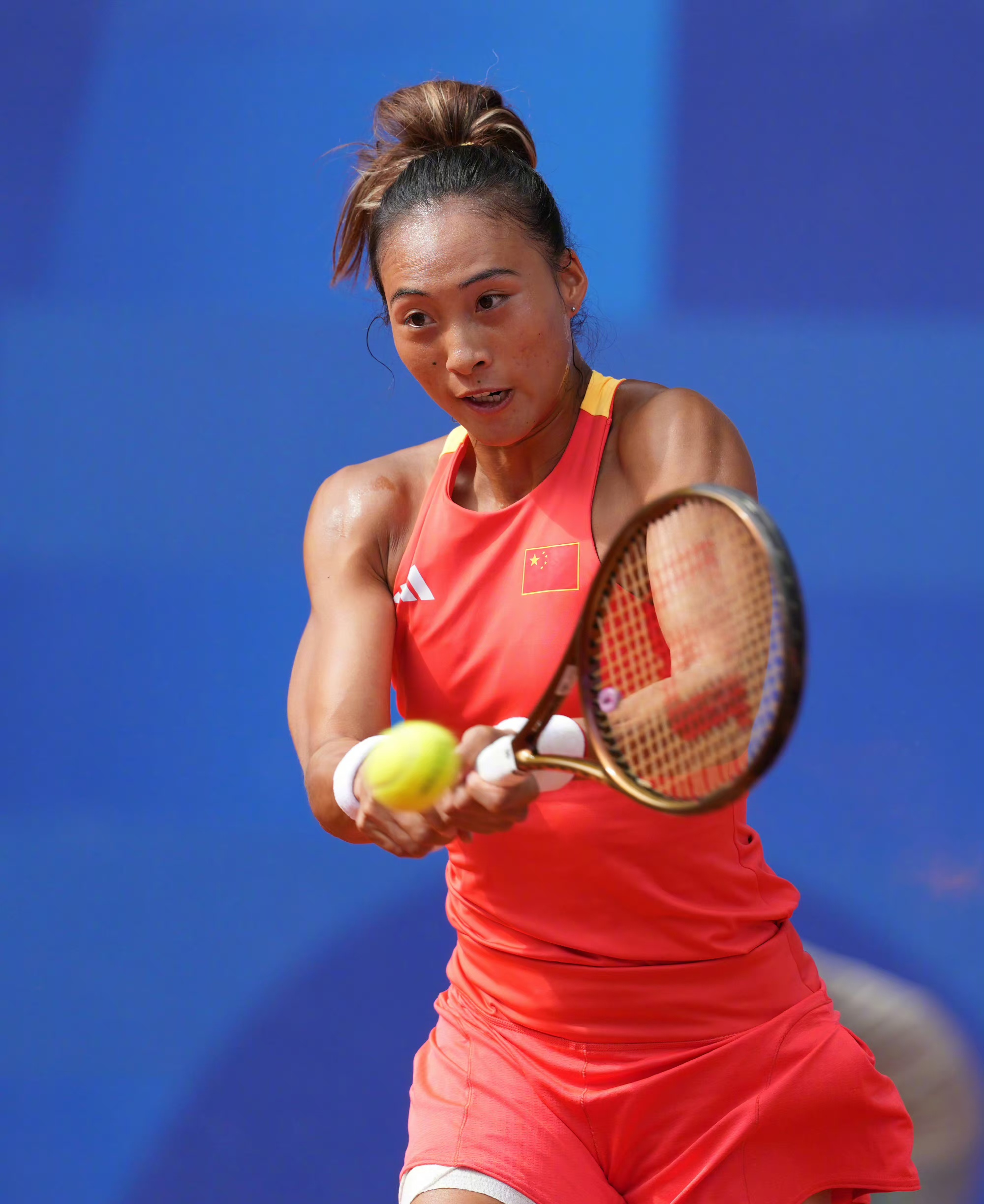 维蒂尼亚的 维蒂尼亚的